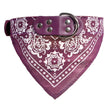 ScarfTail Collar | Bandana & Collar Combo for Stylish Pups