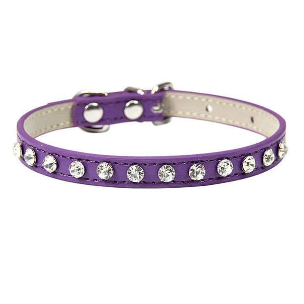 Purple pet collar with rhinestones on a white background