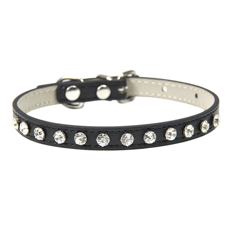 Black leather pet collar with rhinestones on a white background