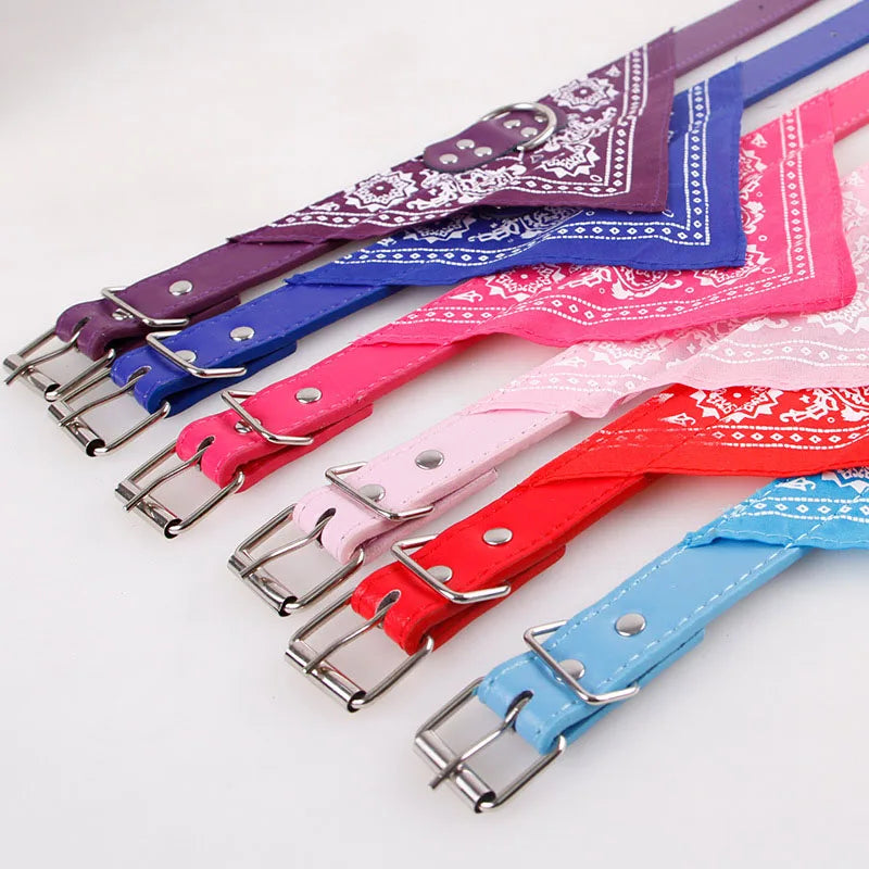 ScarfTail Collar | Bandana & Collar Combo for Stylish Pups