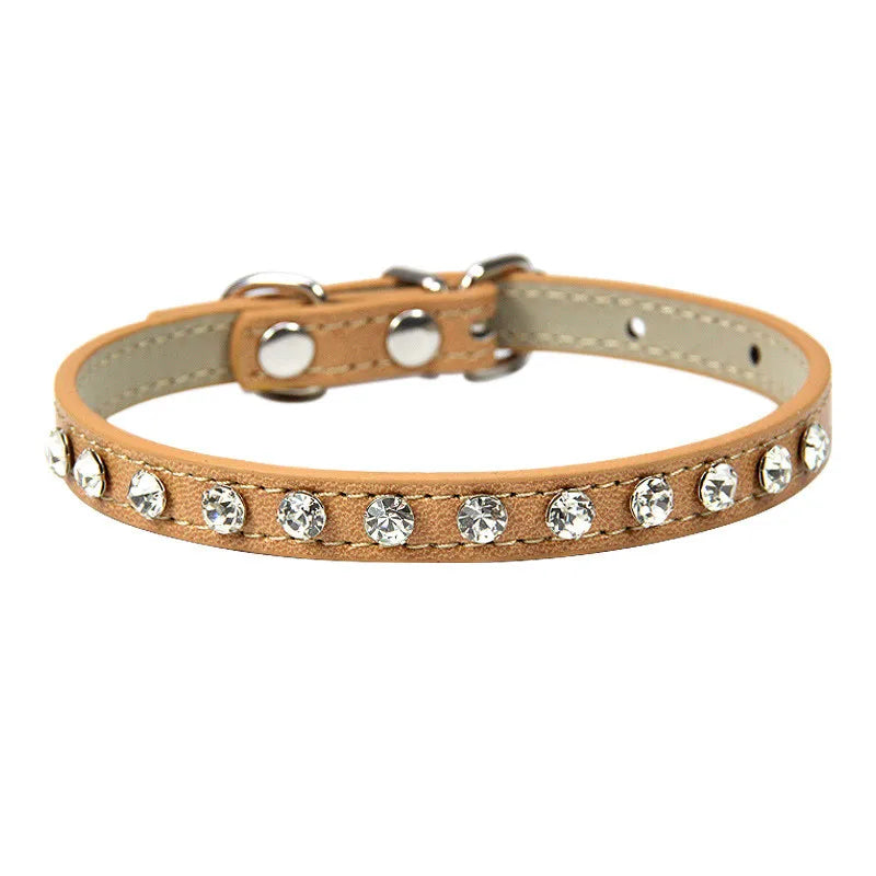 pet collar with rhinestone embellishments on a white background