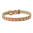 pet collar with rhinestone embellishments on a white background