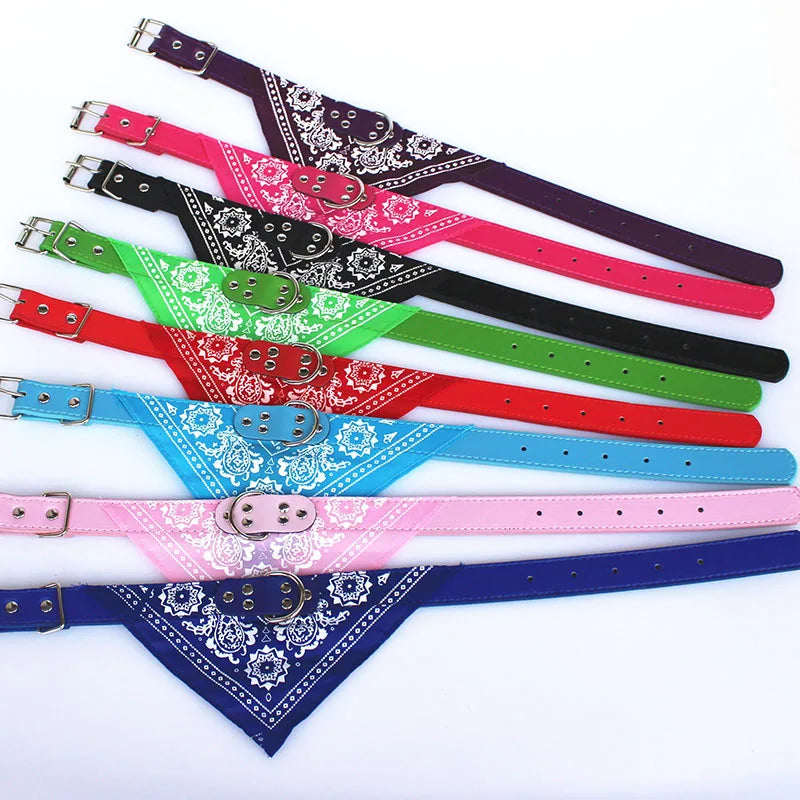 ScarfTail Collar | Bandana & Collar Combo for Stylish Pups