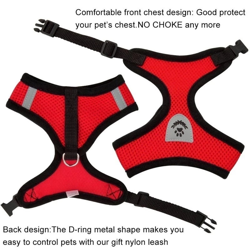 Red dog harness with black straps on a white background