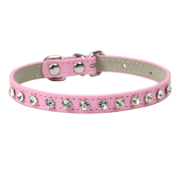 Pink pet collar with rhinestones on a white background
