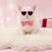 LoveShades: Heart-Shaped Pet Glasses