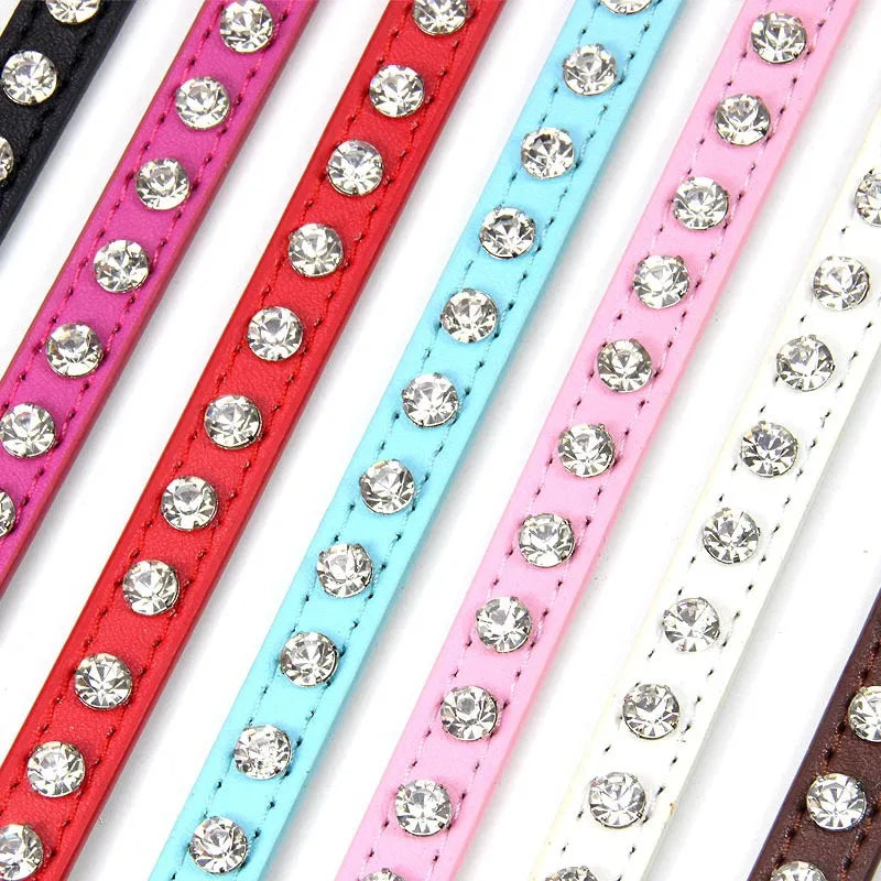 Set of colorful pet collars with rhinestone embellishments on a white background