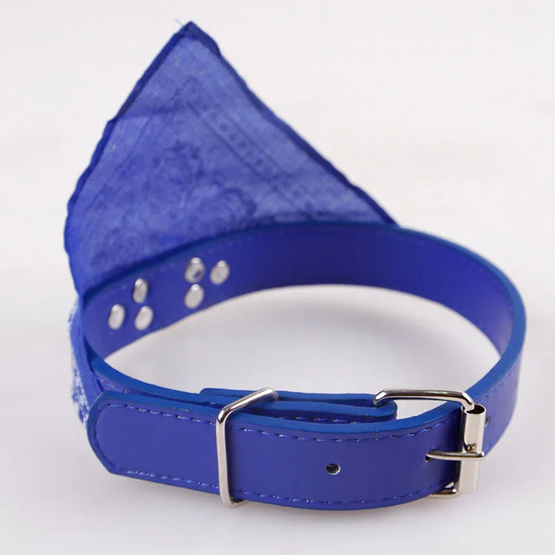 ScarfTail Collar | Bandana & Collar Combo for Stylish Pups