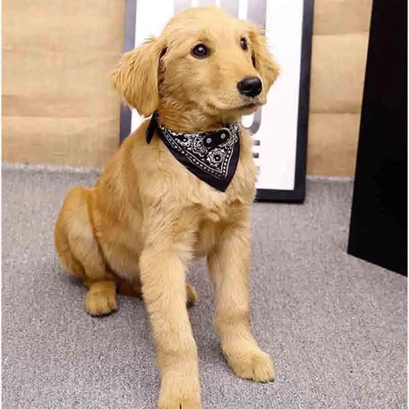 ScarfTail Collar | Bandana & Collar Combo for Stylish Pups