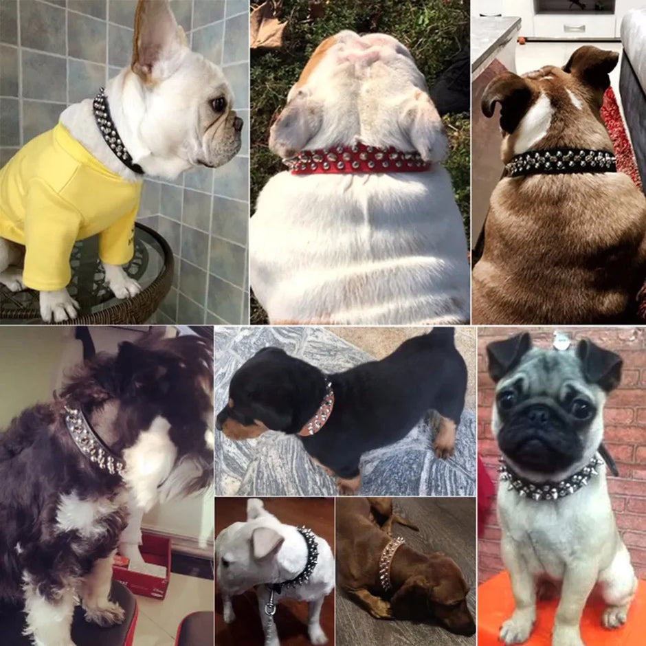 Fashionable Spiked Pet Collar - Adjustable Sizes