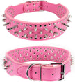 Pink dog collars with silver spikes on a white background