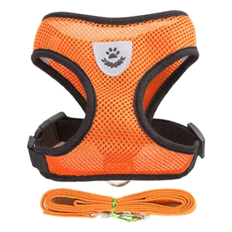 Orange dog harness with black straps and a matching leash on a white background