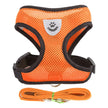 Orange dog harness with black straps and a matching leash on a white background