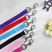 ColorSprint Leash | Tangle-Free & Lightweight for Small Pets