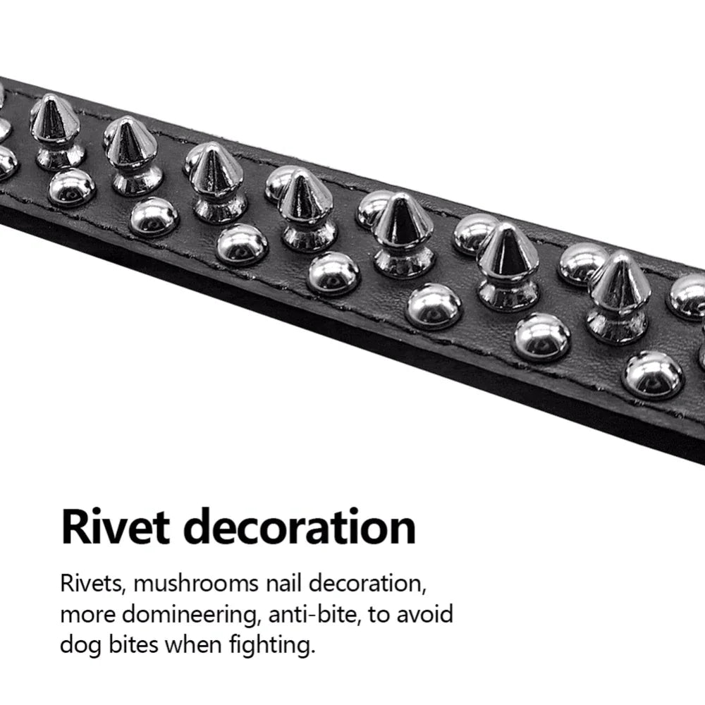 Black leather dog collar with metal rivets on a white background