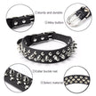 Black leather dog collar with spikes and studs, showing sturdiness, alloy button, collar buckle nail, and material details.