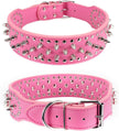 pink dog collars with silver spikes on a white background