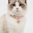 Cat wearing a pink floral collar with a bell on a white background