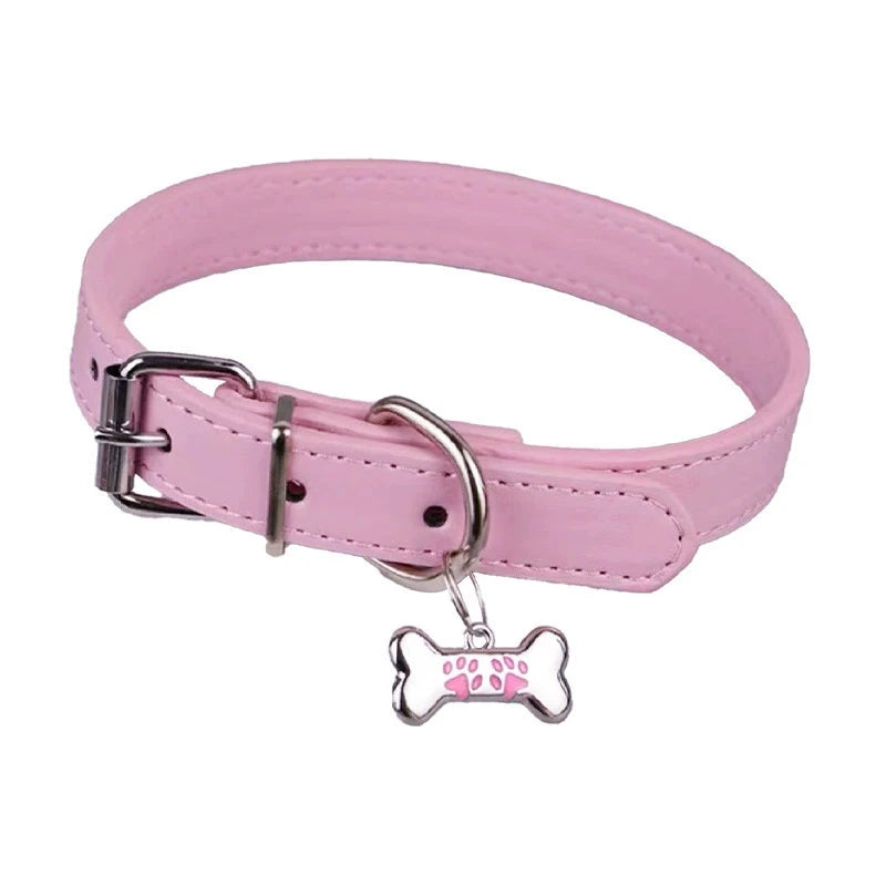 Pink dog collar with a bone-shaped tag featuring a paw print on a white background