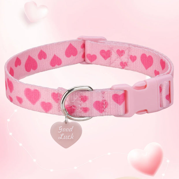 Pink dog collar with heart patterns and a 'Good Luck' tag on a pink background