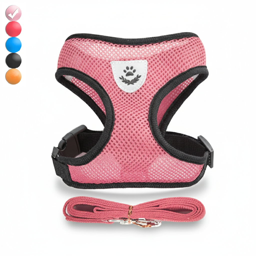 Pink dog harness with black straps and a matching leash on a white background