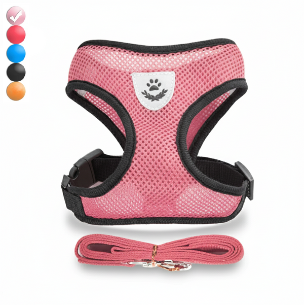Pink dog harness with black straps and a matching leash on a white background