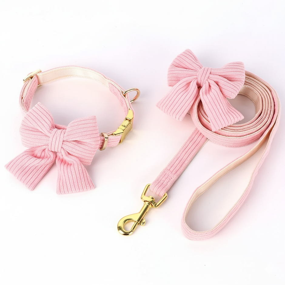 Pink dog set collar + leash with a bow and gold clasp on a white background