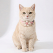 Cat wearing a pink flower-shaped collar on a white background