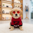 PUPPY: STYLE – Colorful Pet Glasses Collection 😎