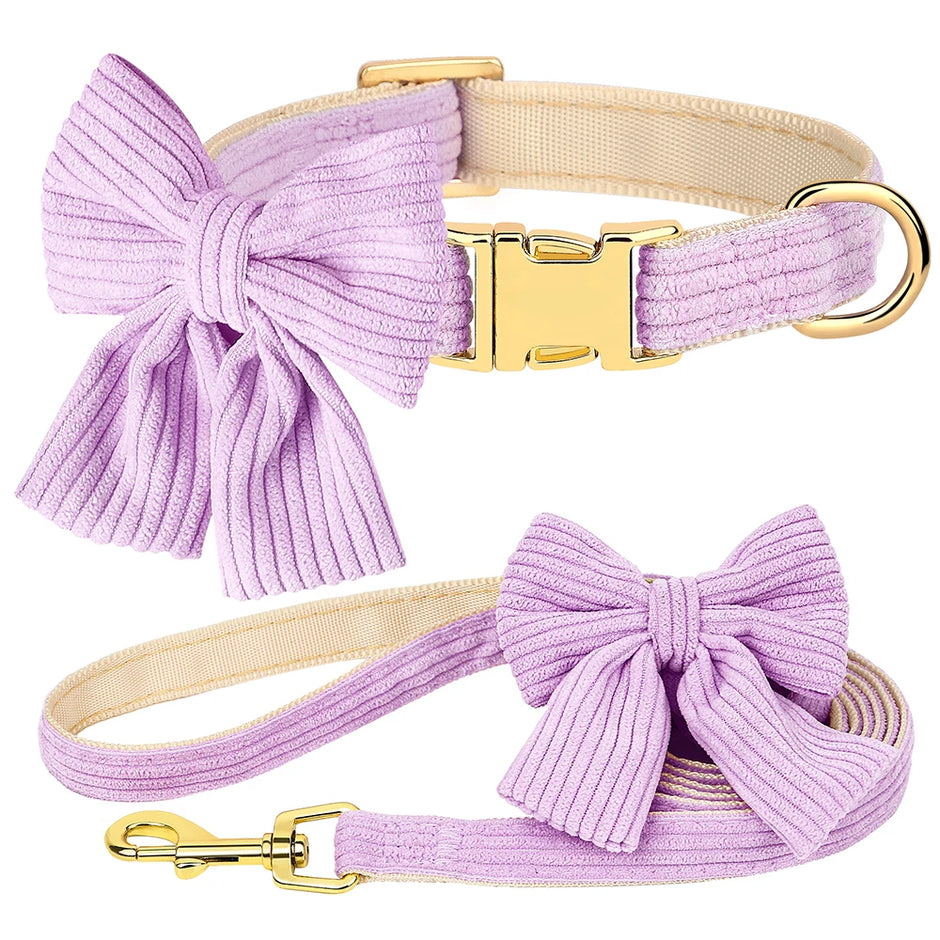 Dog collar and leash set with purple bows and gold hardware on a white background