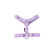 Purple dog harness on a white background
