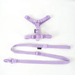 Purple dog harness and leash set on a white background