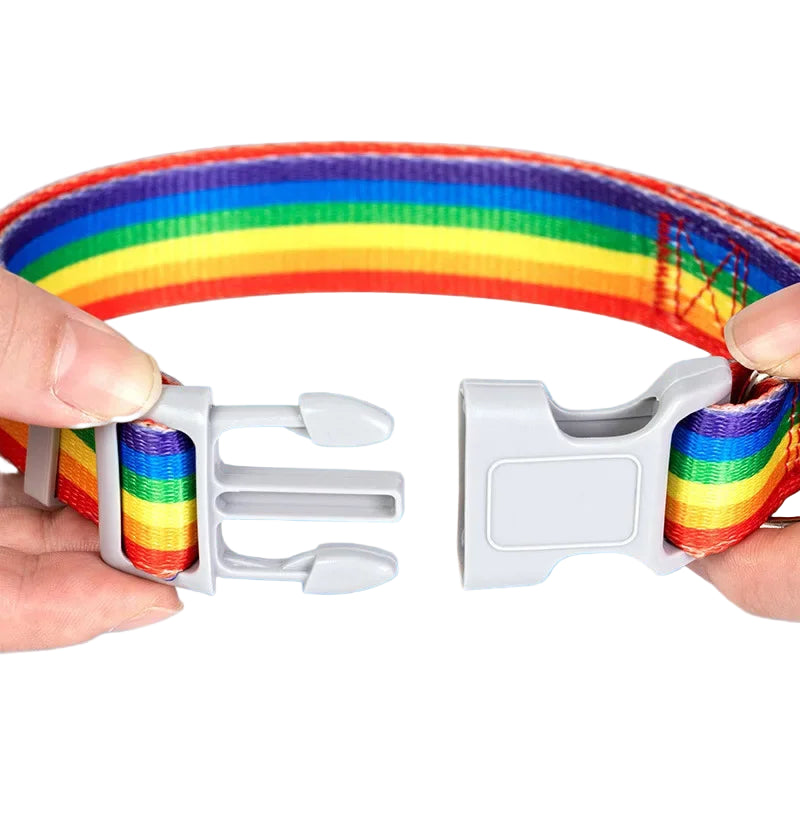 Rainbow-colored dog collar with a white plastic buckle on a blue background