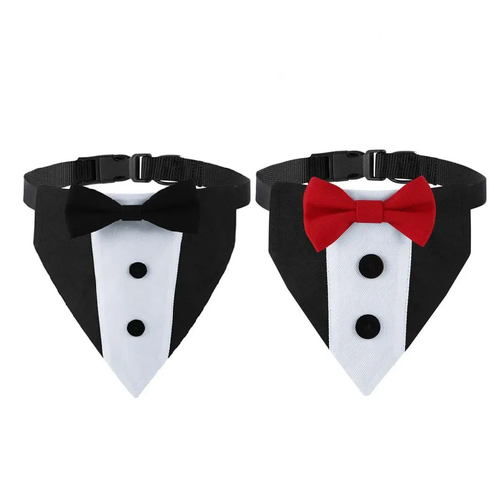 Formal Pup Tuxedo Collar 🐕🦺🎩