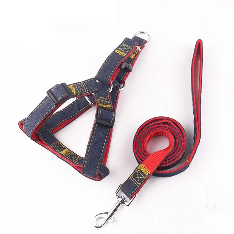 Sparkle Denim Harness & Leash – Adventure Ready!
