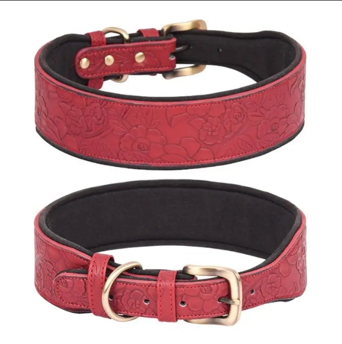 Two red dog collars with black padding and gold hardware on a white background