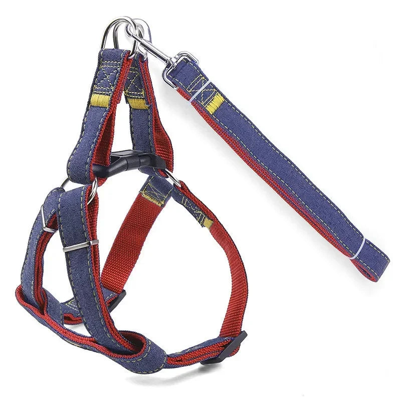 Sparkle Denim Harness & Leash – Adventure Ready!