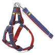 Sparkle Denim Harness & Leash – Adventure Ready!