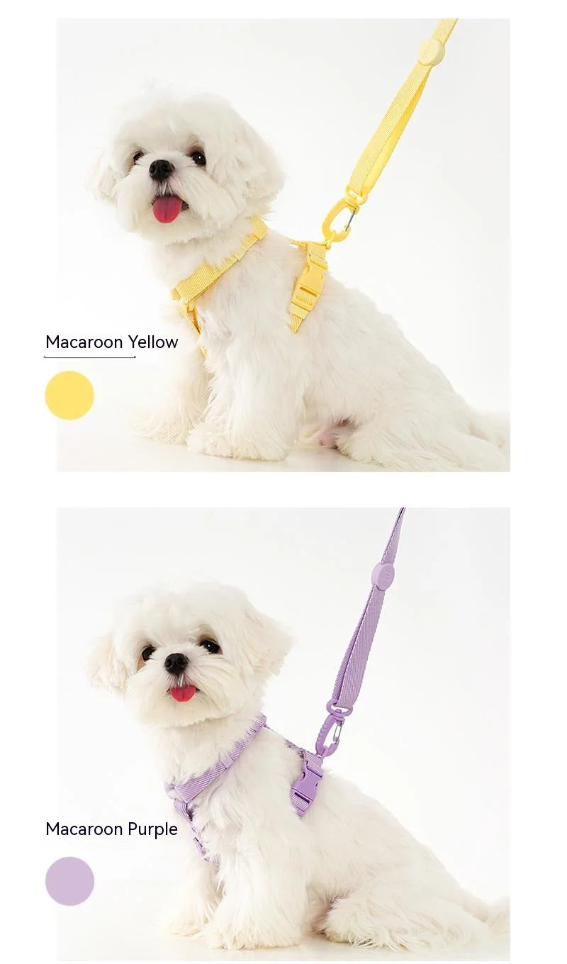 Two images of a small white dog wearing a yellow harness and leash, with text indicating 'Macaroon Yellow'. Another image shows the same dog wearing a purple harness and leash, with text indicating 'Macaroon Purple'.