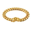 Gold chain collar on a white background