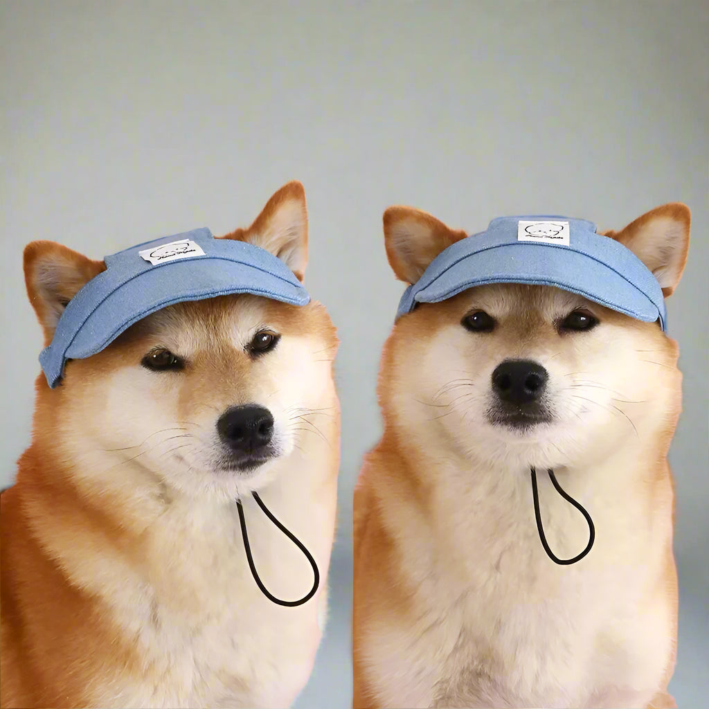 Denim Paws Baseball Cap⚾