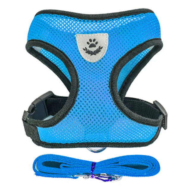 Blue dog harness with black straps and a matching leash on a white background
