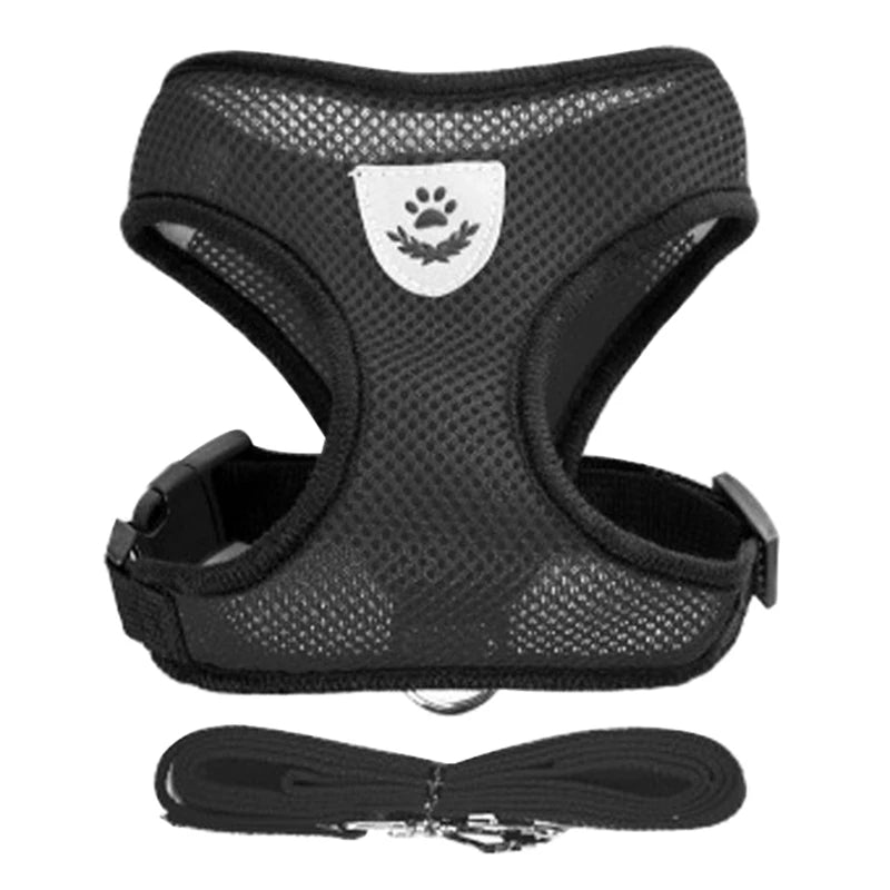 Black dog harness with a leash on a white background