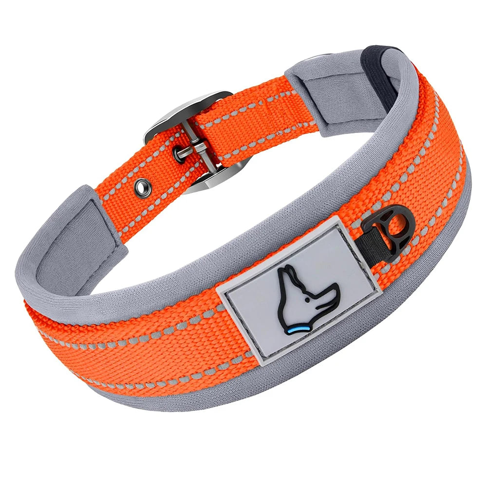 The Guardian Comfort Collar