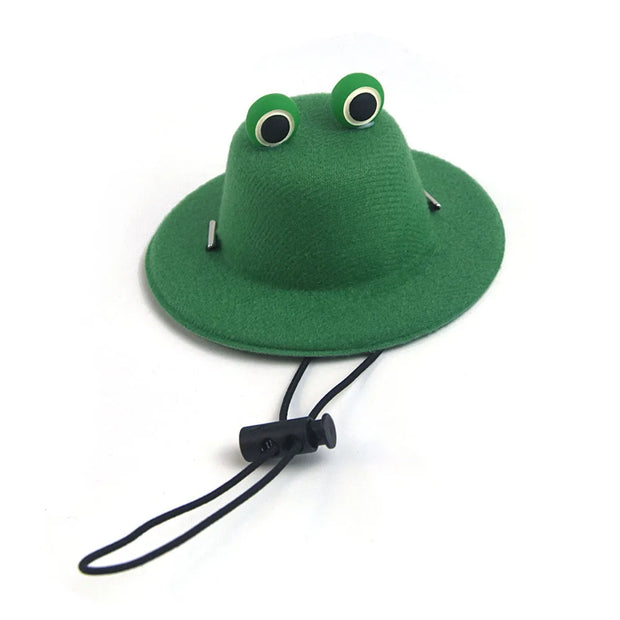 Green frog-pet hat with googly eyes on a white background