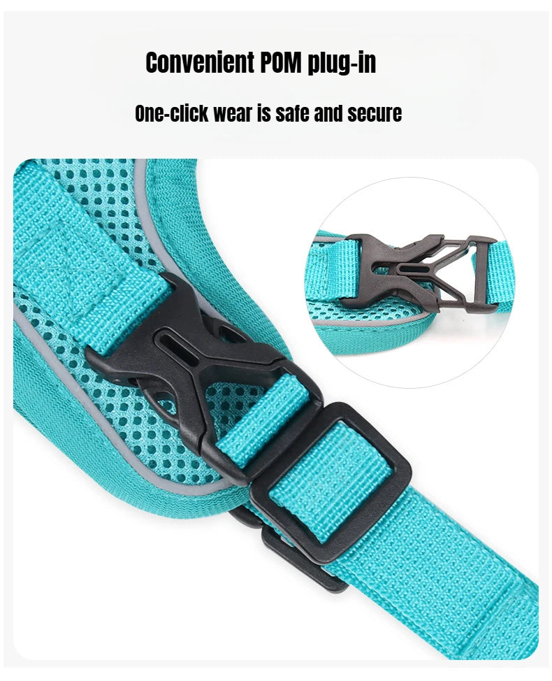 BreezeGuard Mesh Harness & Leash Set