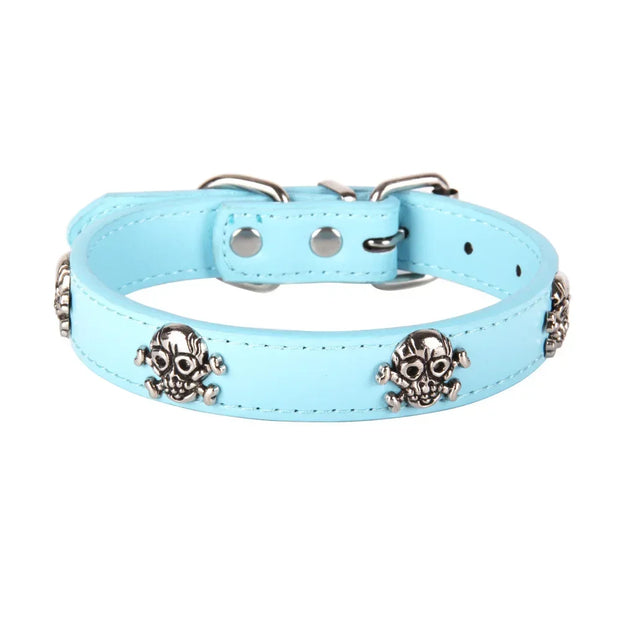 Light blue dog collar with skull designs on a white background