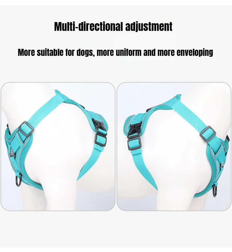 BreezeGuard Mesh Harness & Leash Set