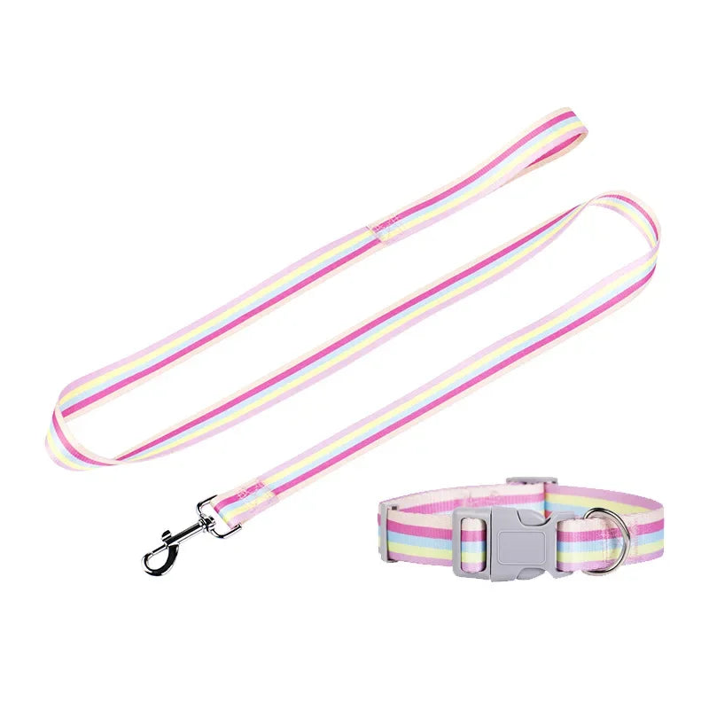 Dog collar and leash set with colorful striped design on a white background