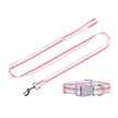 Dog collar and leash set with colorful striped design on a white background